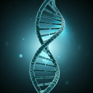 Image of a gene